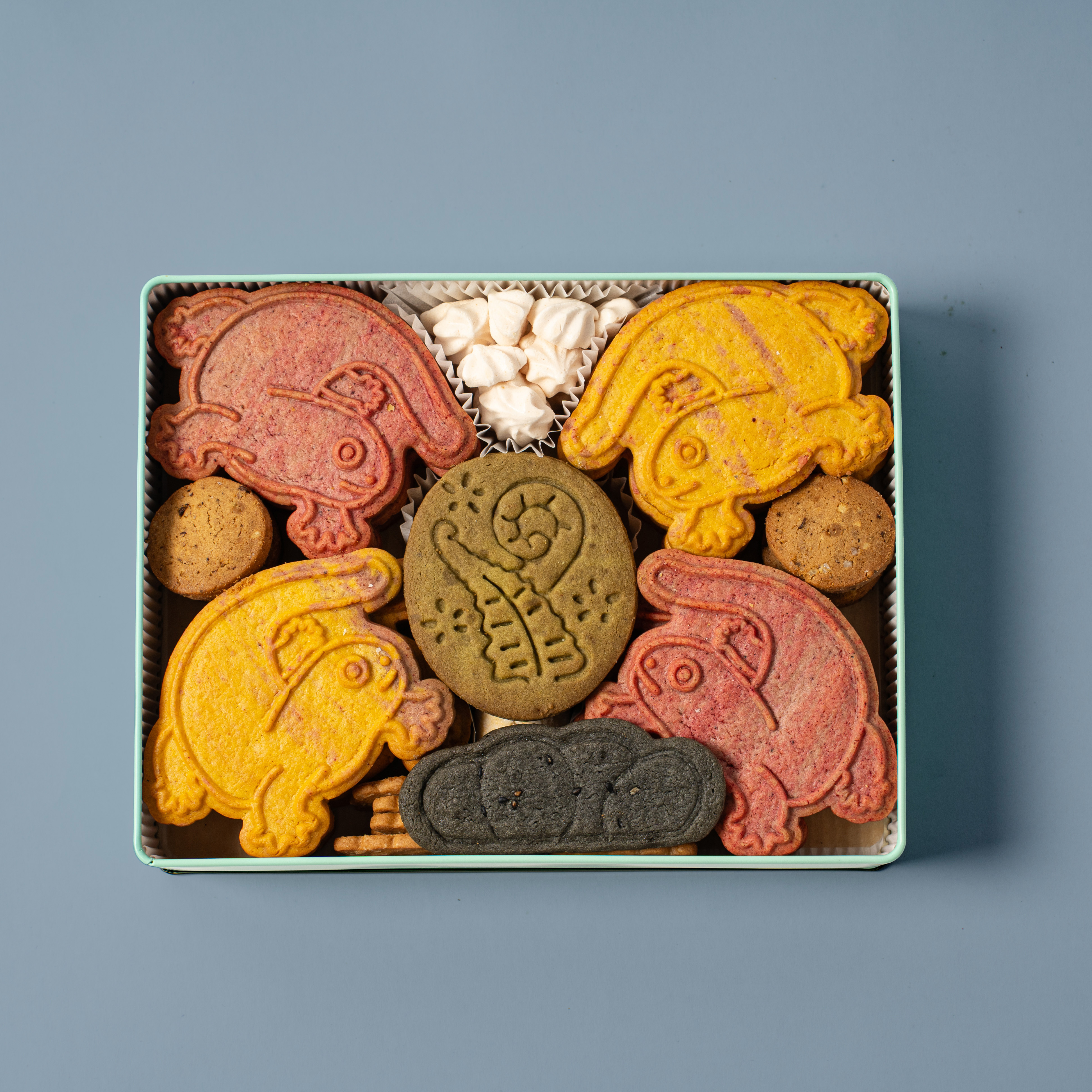 山椒魚造型鐵盒餅乾 Salamander cookies