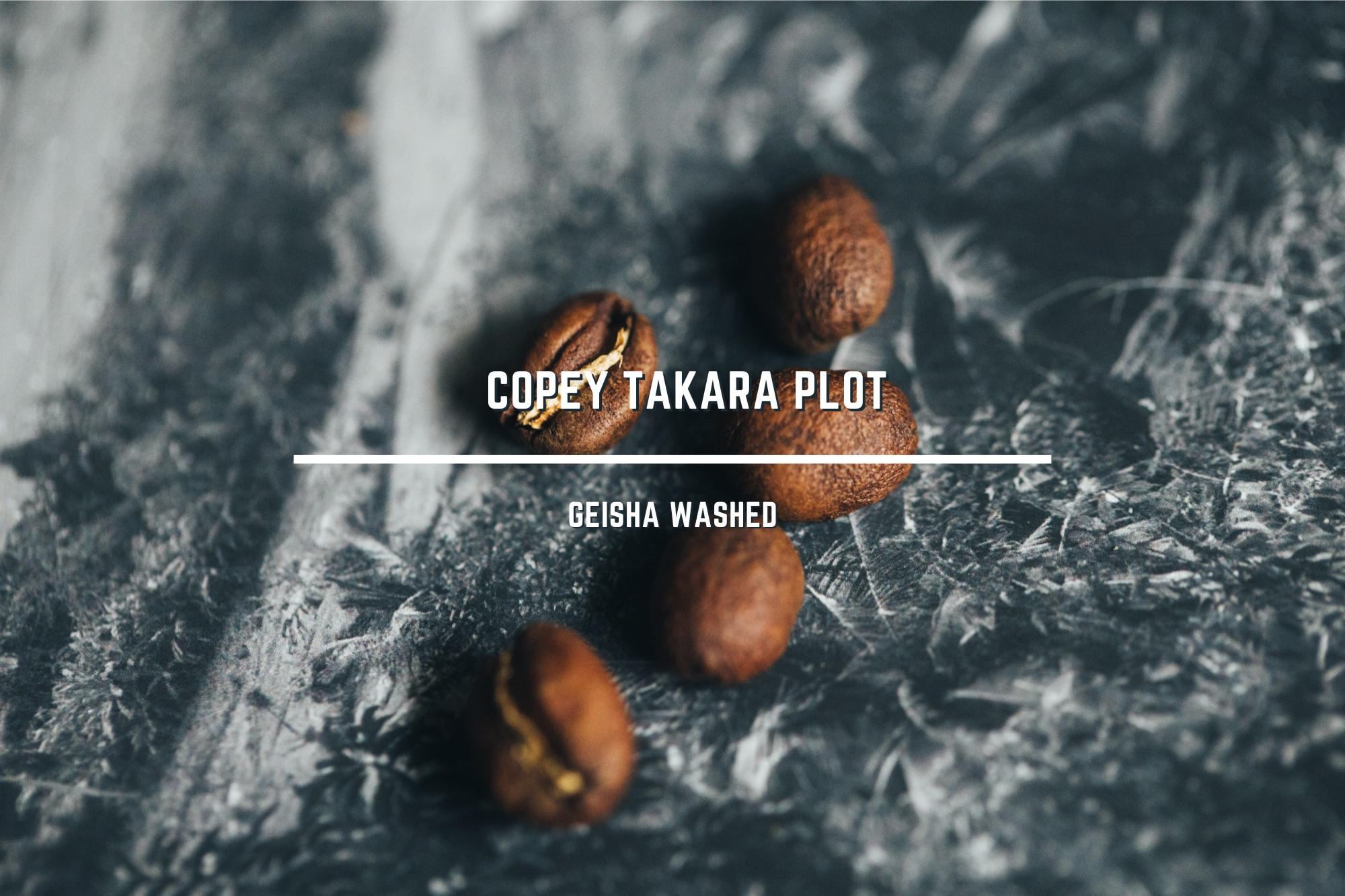 < NEW > 哥斯大黎加 塔拉珠 科佩莊園 TAKARA地塊 藝伎 水洗 - 野薑花 / 茉莉花 / 脆桃 / 富士蘋果 / 甜橙 / 檸檬紅茶
