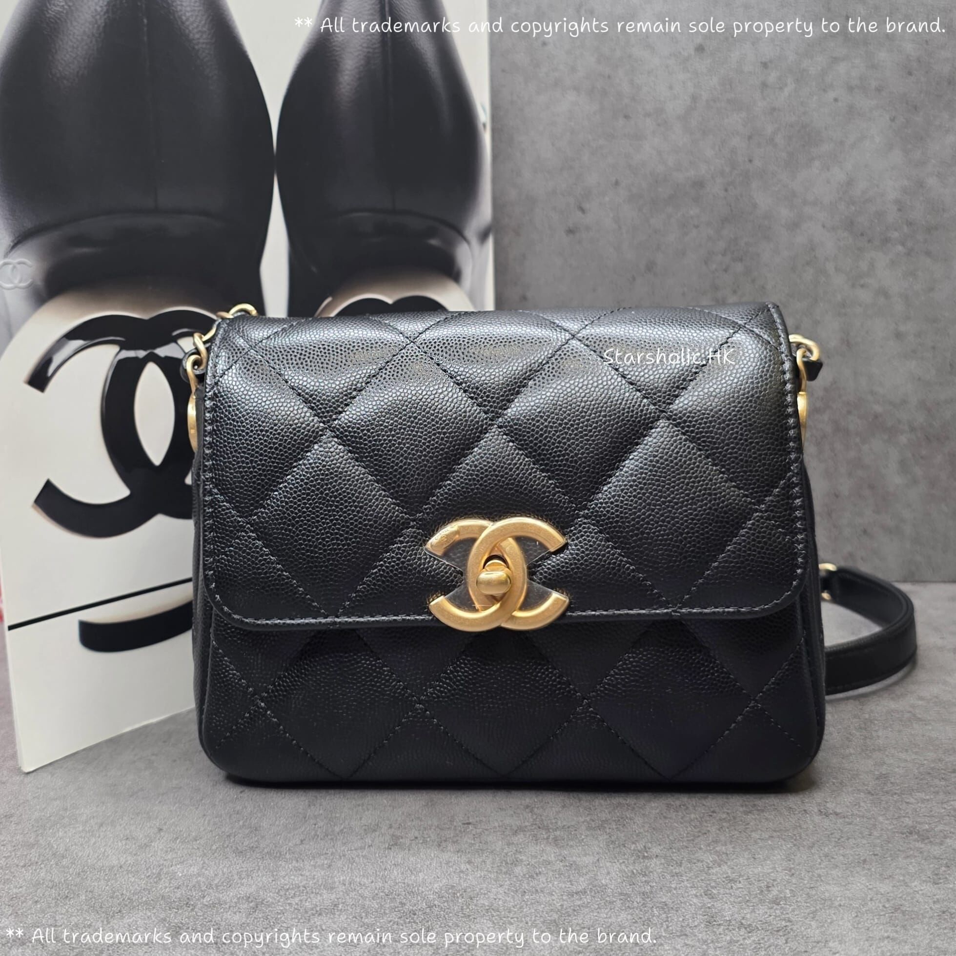 CHANEL Seasonal 17cm Flap Bag