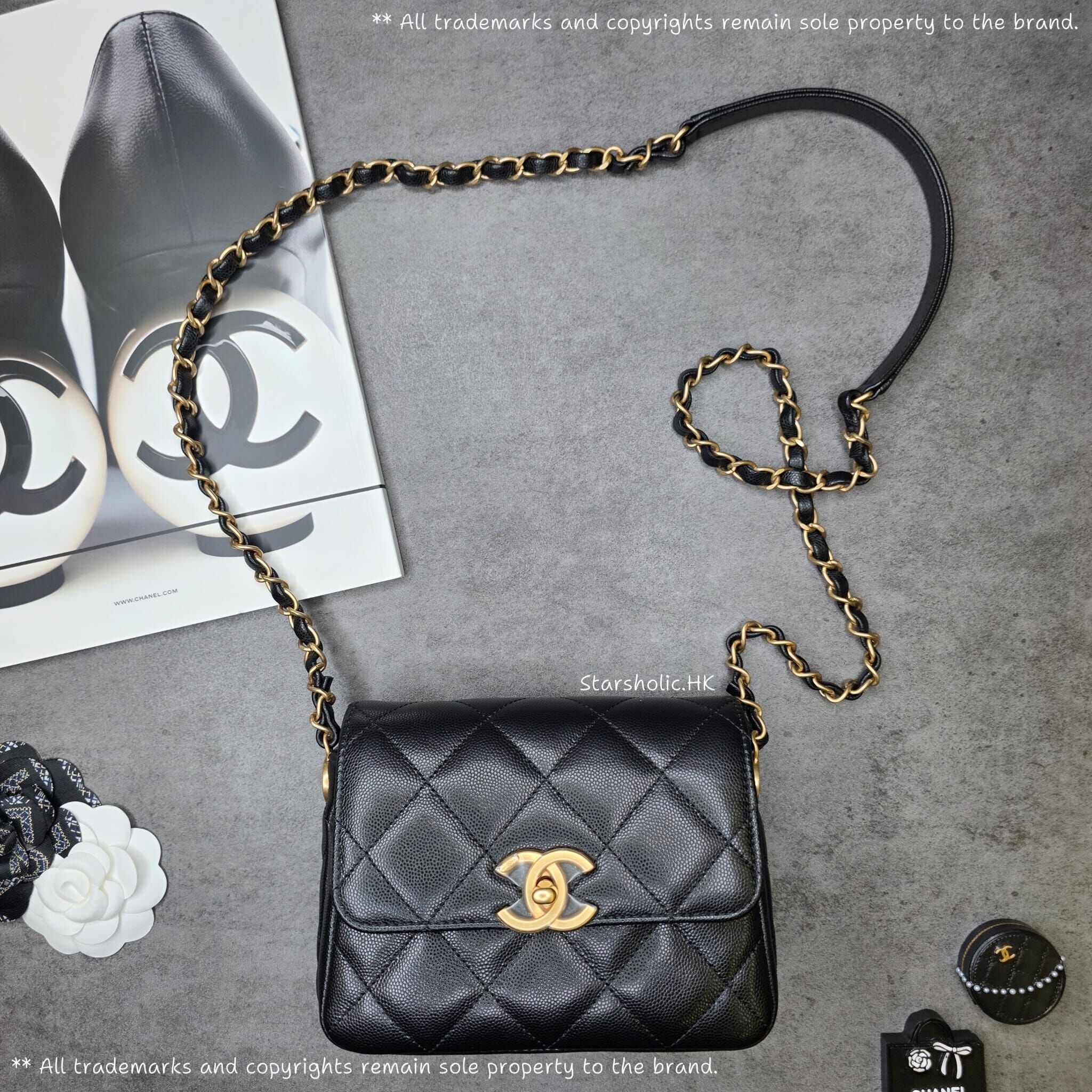 CHANEL Seasonal 17cm Flap Bag
