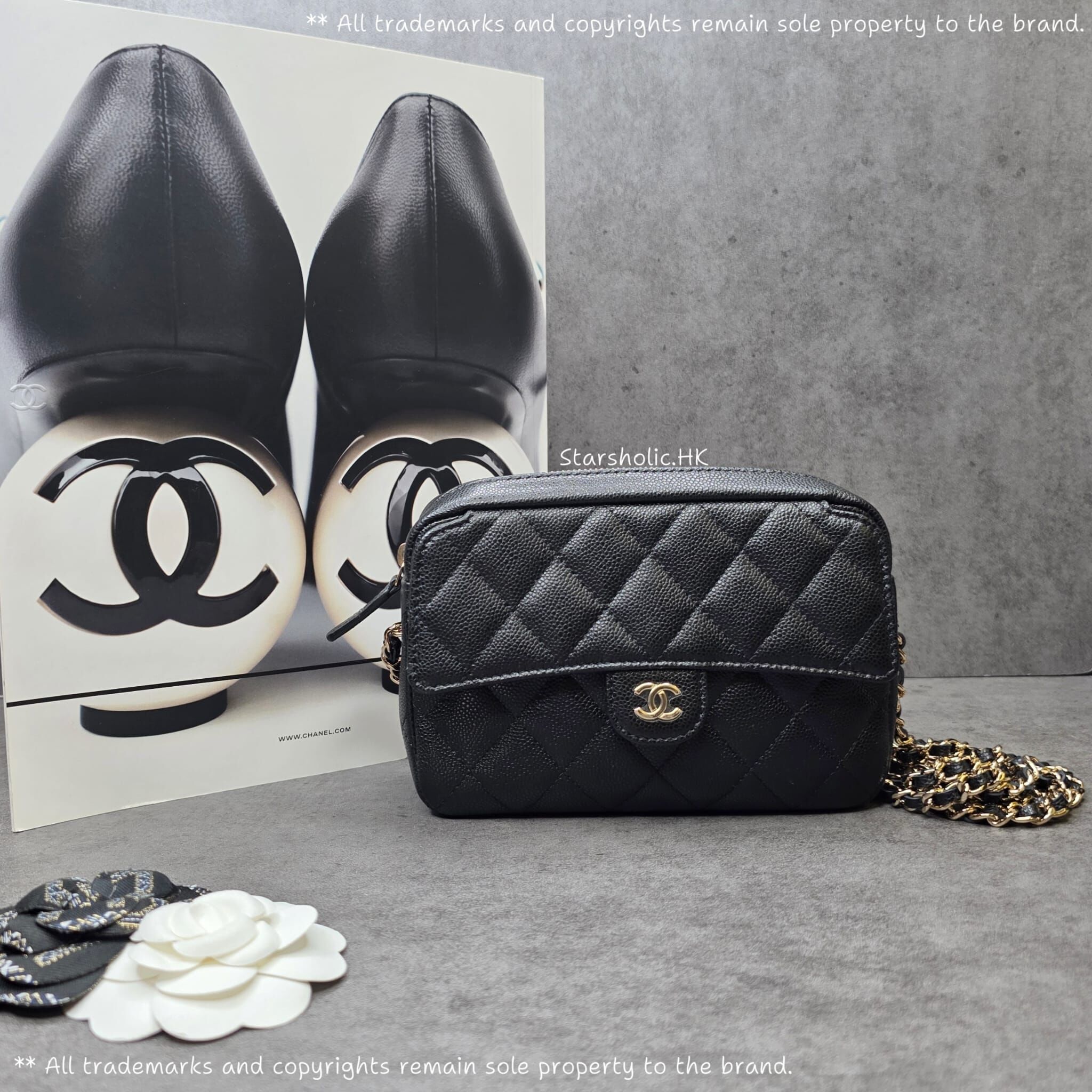 CHANEL Seasonal 25P Camera Bag