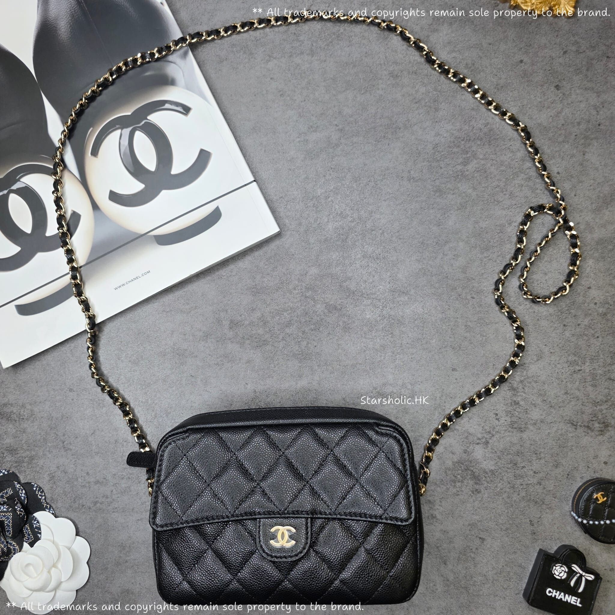 CHANEL Seasonal 25P Camera Bag