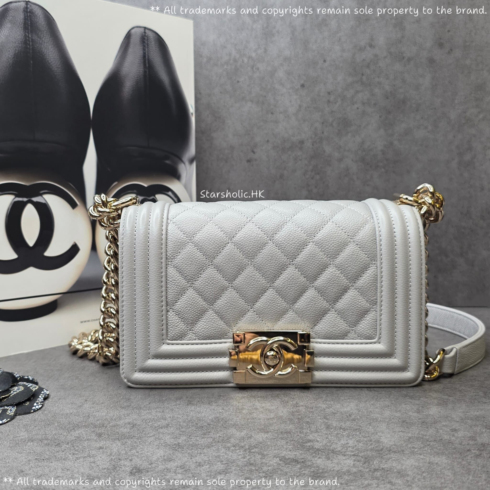 CHANEL Leboy 20cm Small Size