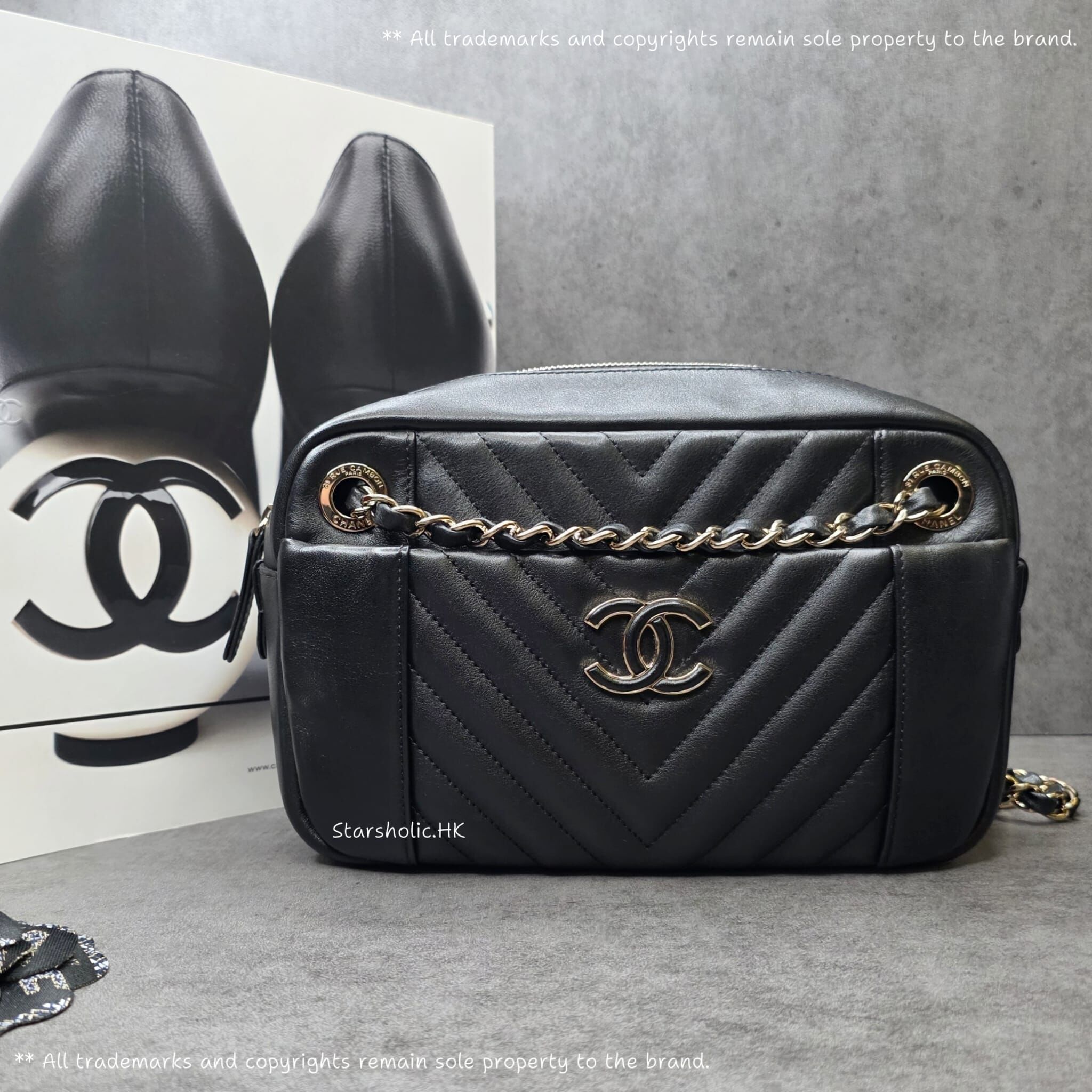 CHANEL Seasonal 24cm Bag