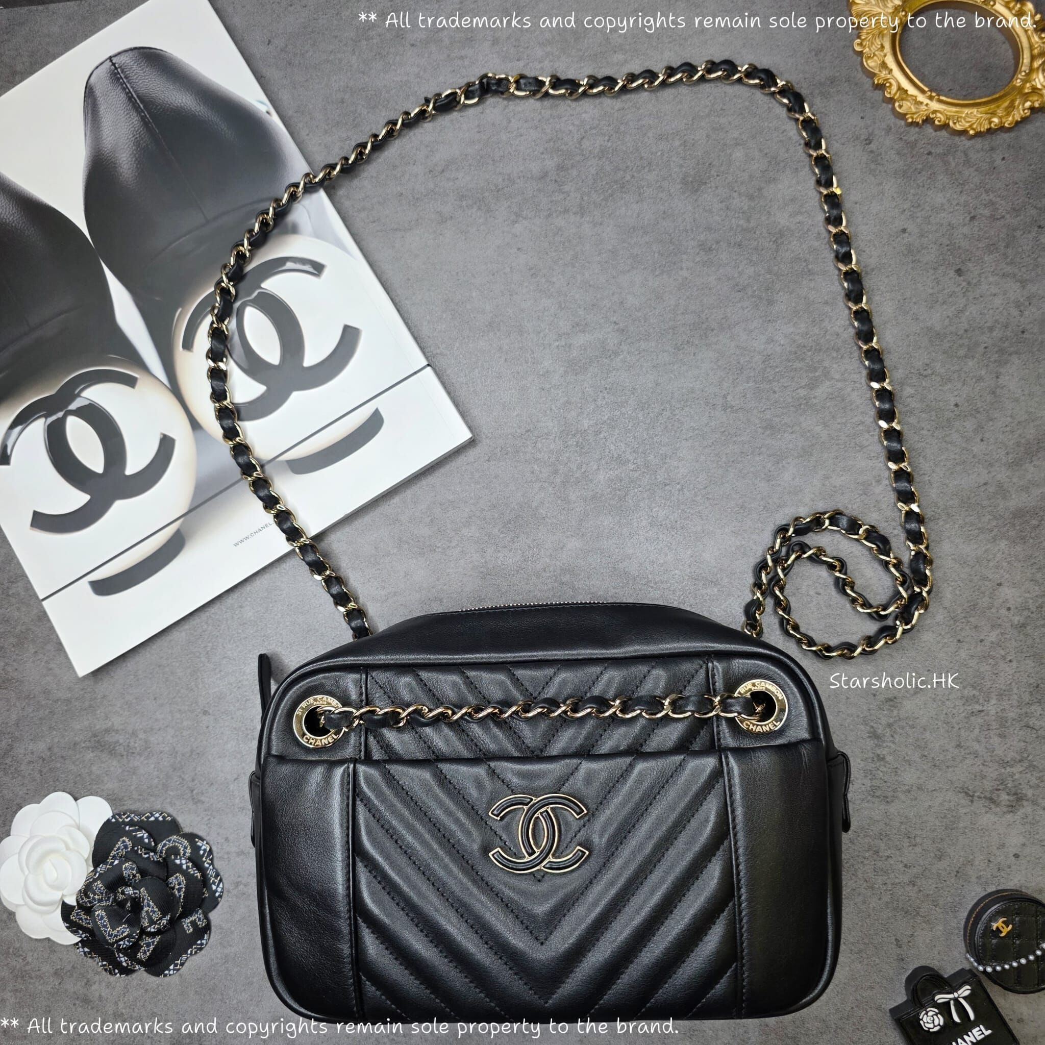 CHANEL Seasonal 24cm Bag