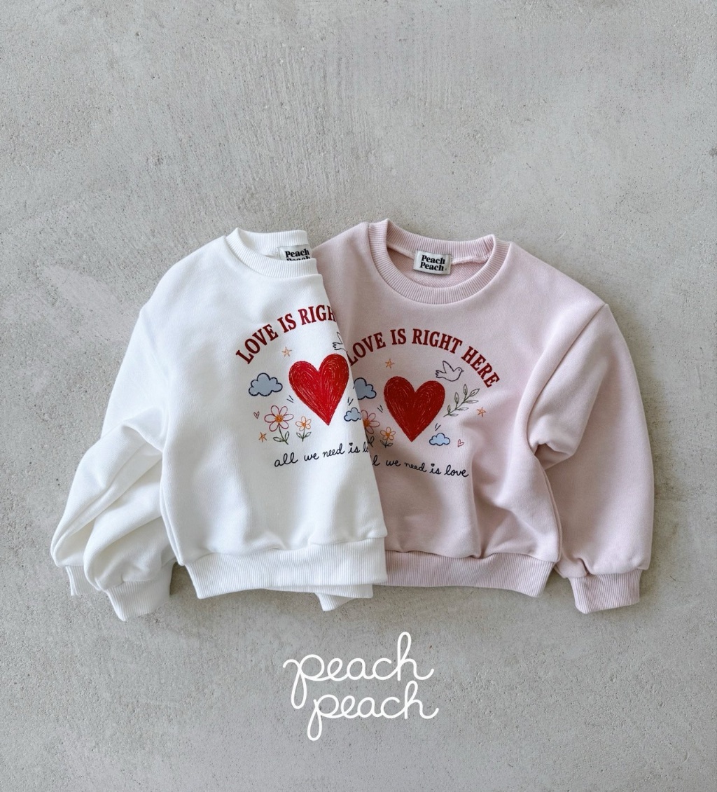 正韓秋PEACHPEACH 兩色和平鴿大學上衣