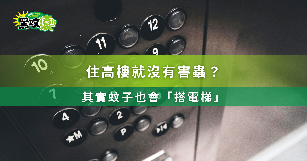 住高樓就沒有害蟲?其實蚊子也會「搭電梯」