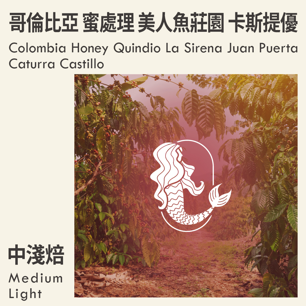 Colombia Honey Quindio La Sirena Juan Puerta Caturra Castillo