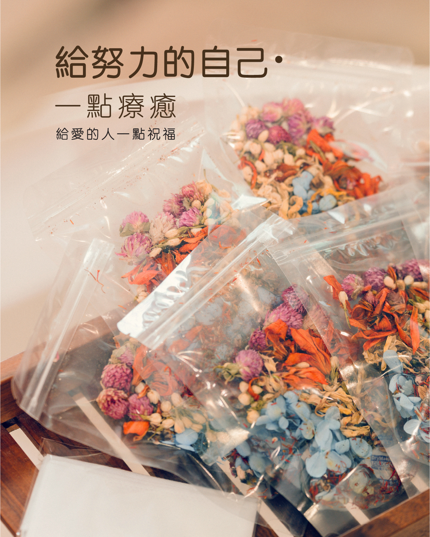 七色乾花