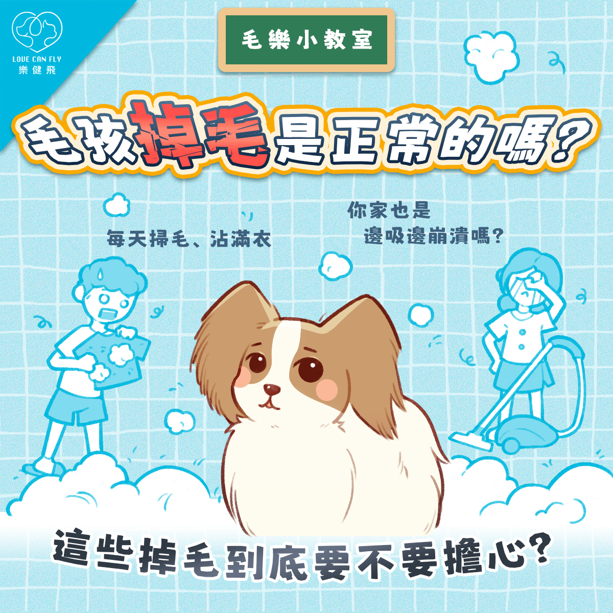 毛孩一直掉毛正常嗎?了解狗狗貓咪正常換毛與掉毛原因