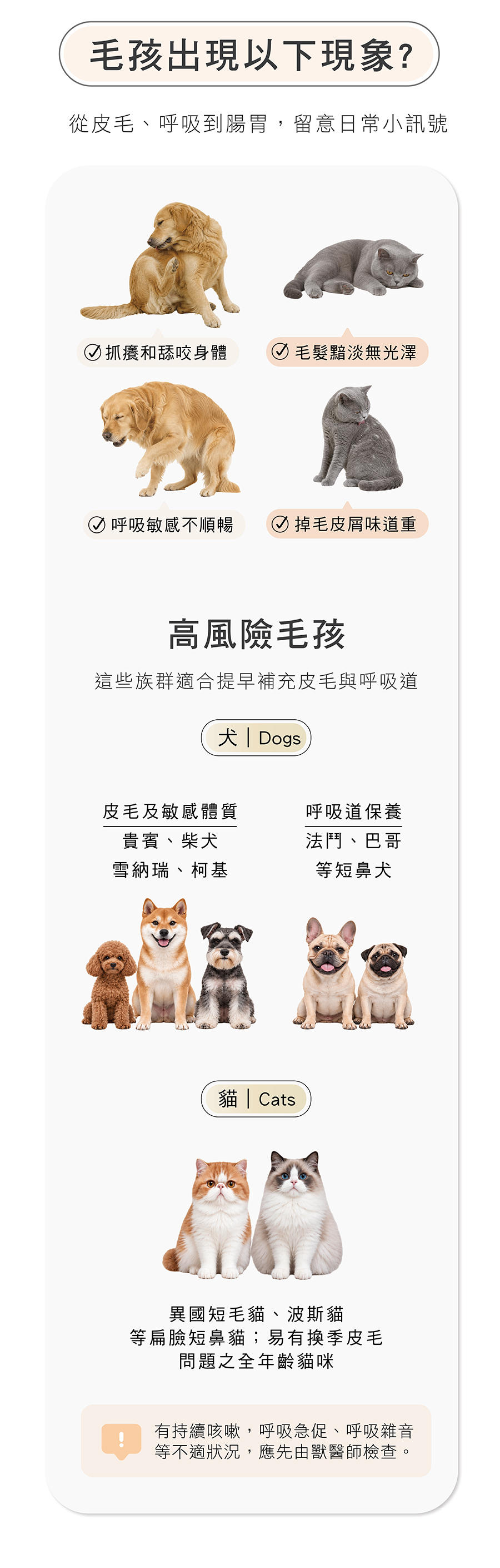 HOMI毛與家肌優股犬貓皮毛與呼吸道保養指南，適合留意皮毛乾燥、換毛、呼吸道與季節性保養需求的犬貓