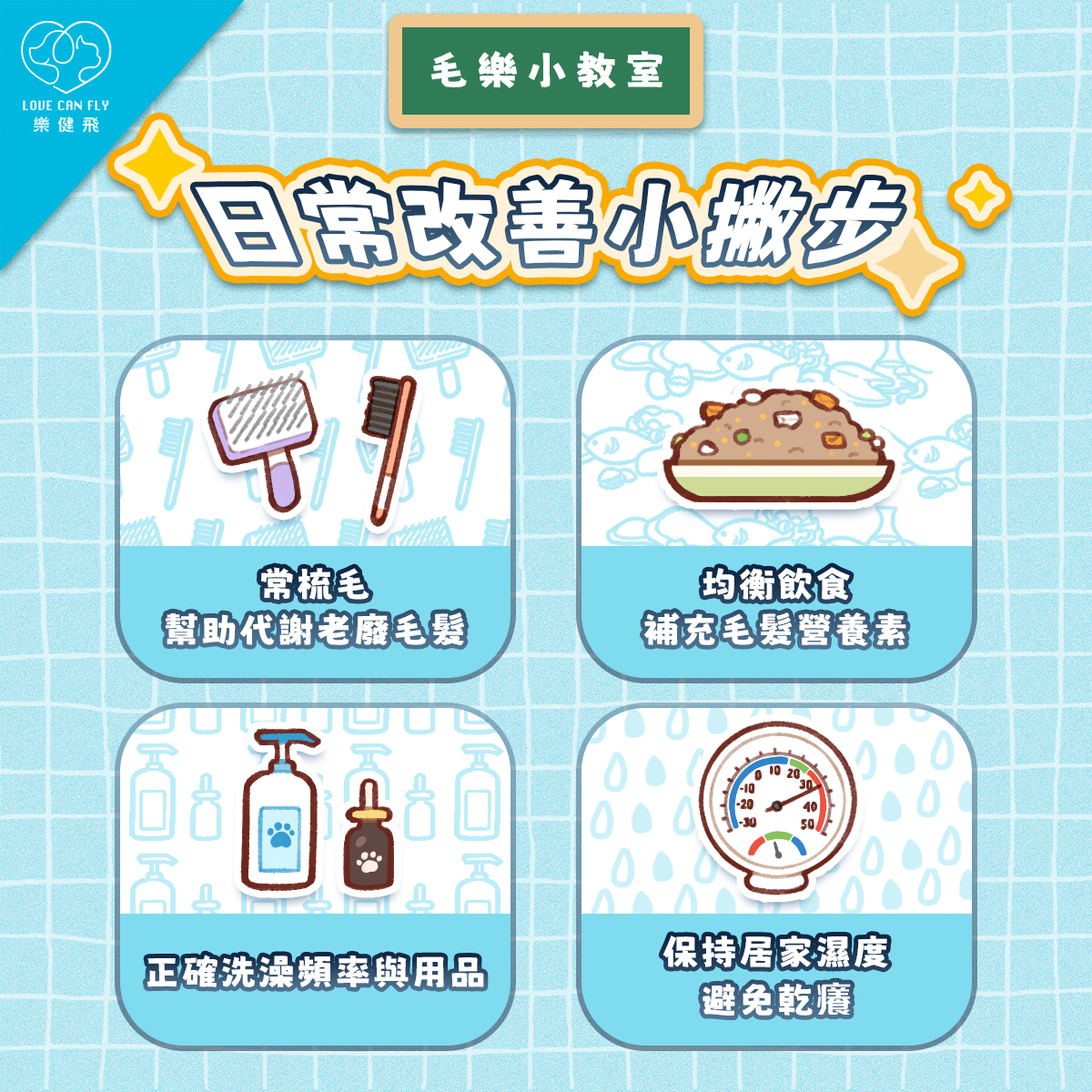 改善寵物掉毛的日常照護:定期梳毛、均衡飲食與適當清潔