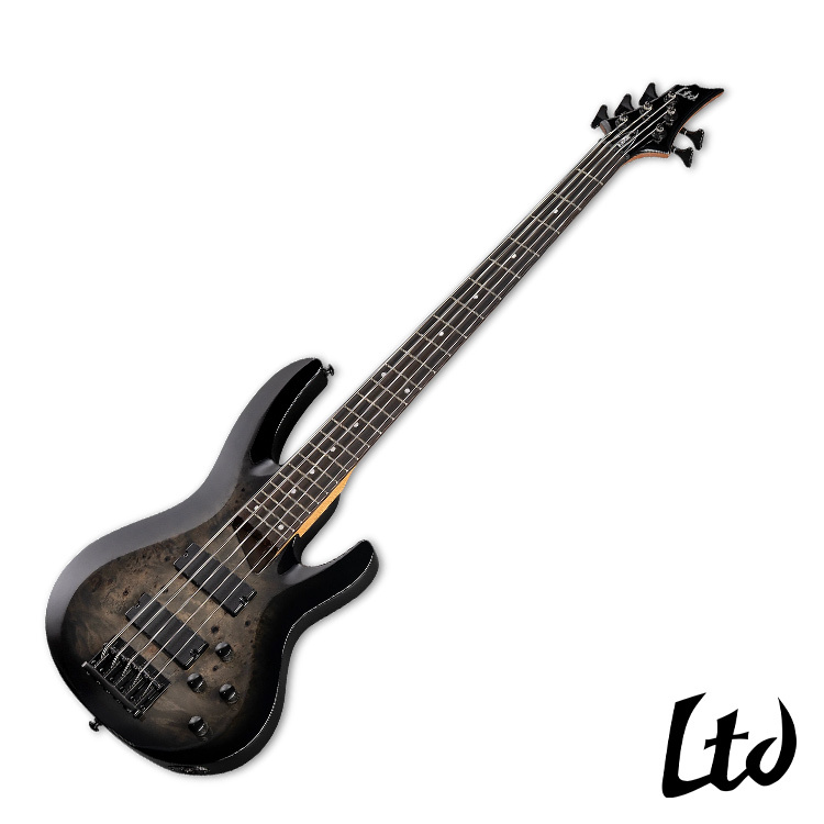 ESP LTD B-205DX Black Burst