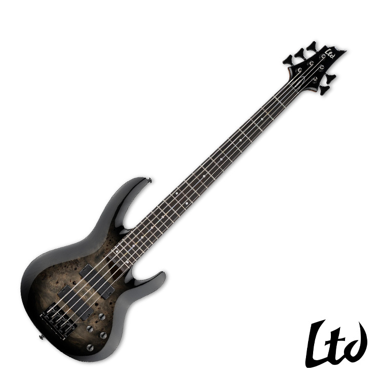 ESP LTD B-205DX Black Burst