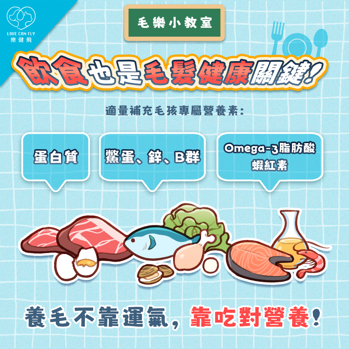 寵物毛髮健康所需營養:蛋白質、鋅、B群與Omega-3脂肪酸