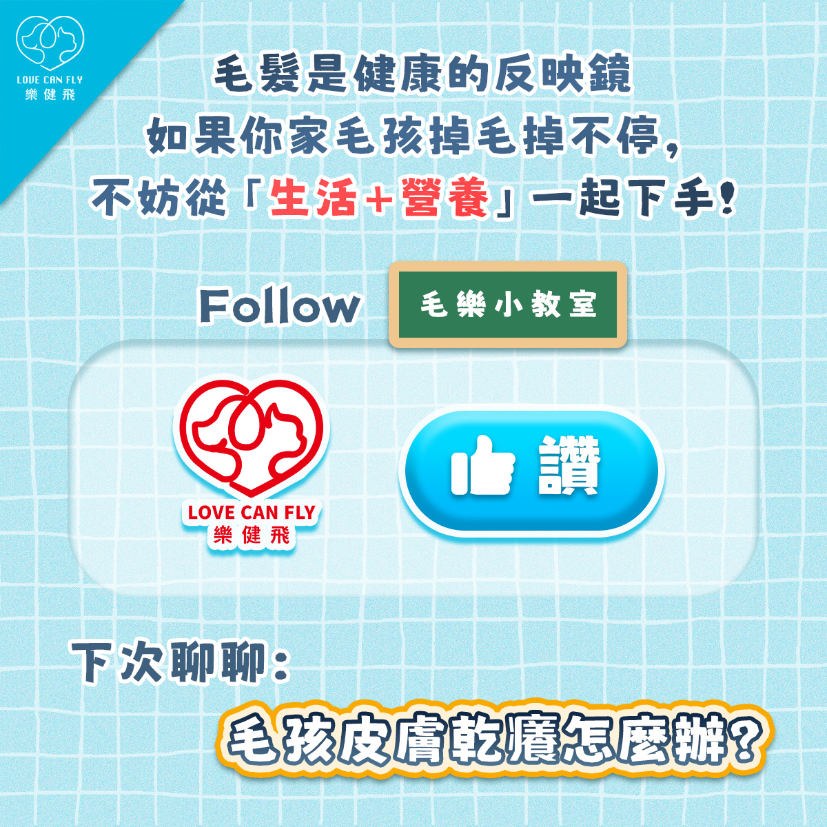 毛髮健康與寵物日常生活及營養息息相關
