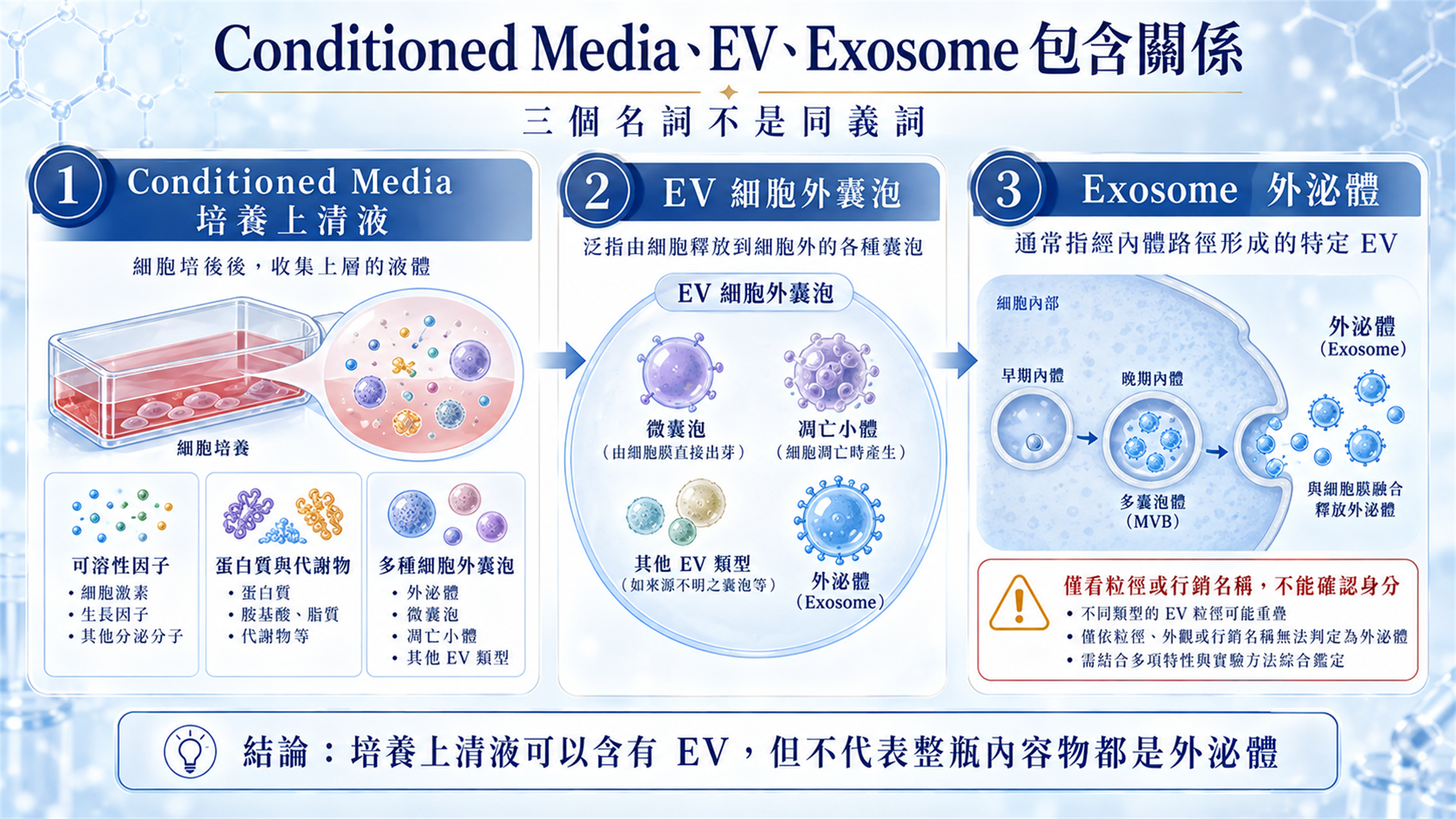 Conditioned Media 培養上清液 EV 細胞外囊泡與 Exosome 外泌體包含關係