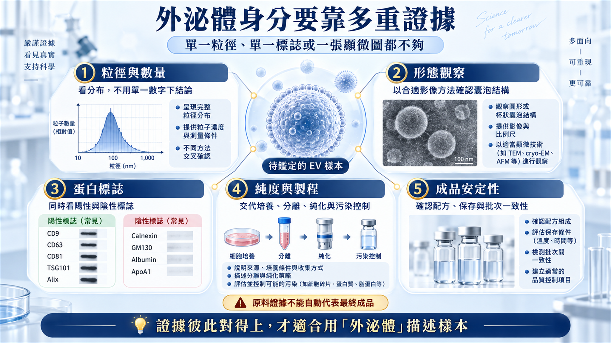 鑑定外泌體所需的粒徑形態蛋白標誌純度製程與成品安定性證據
