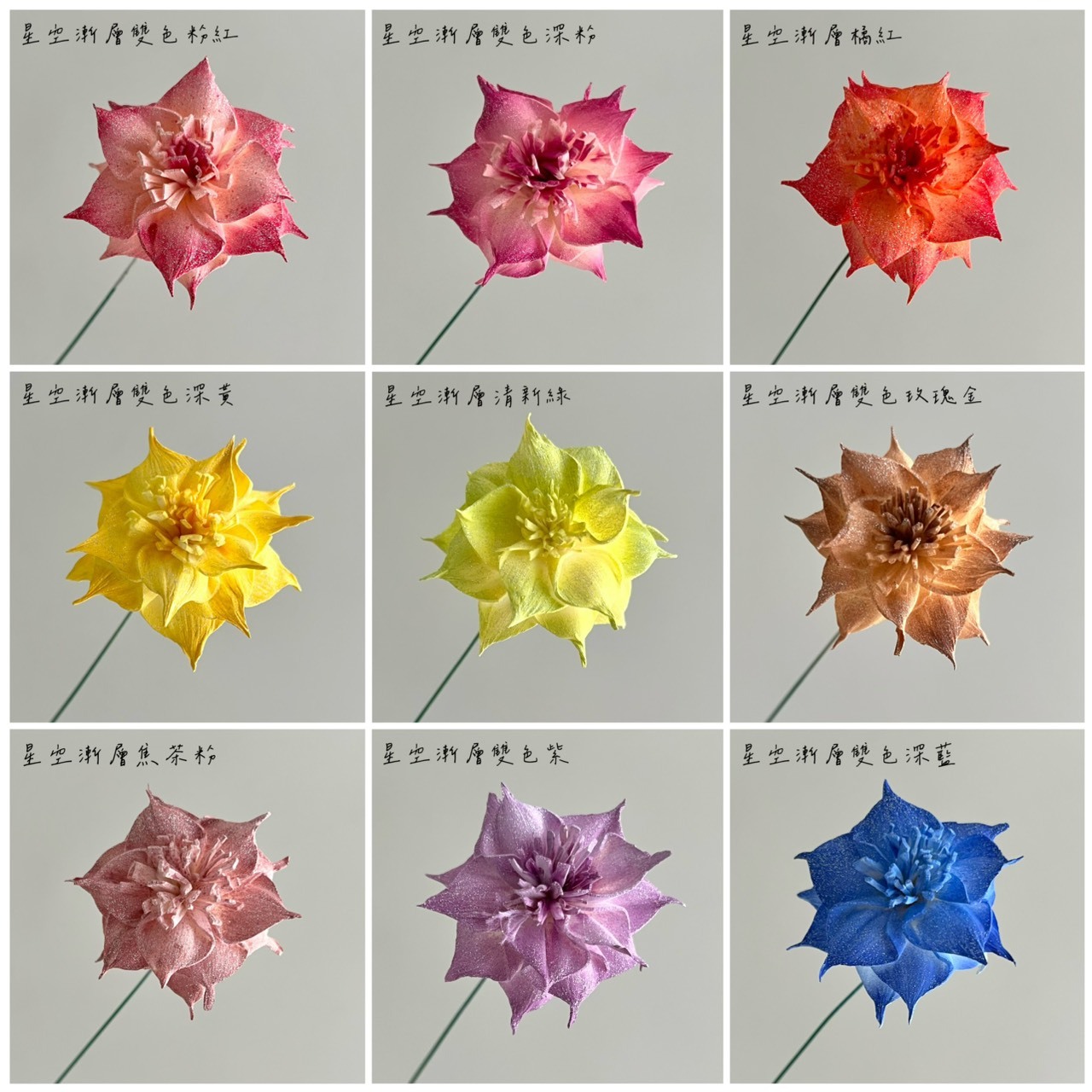 泰國索拉 尖葉扶桑花 4CM <十支一把> (高品質)