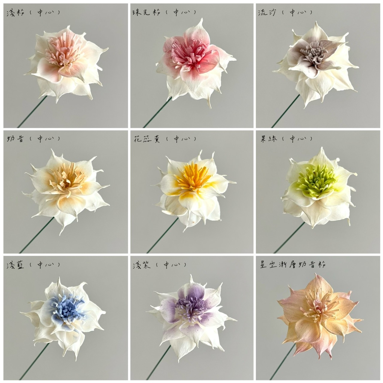 泰國索拉 尖葉扶桑花 4CM <十支一把> (高品質)