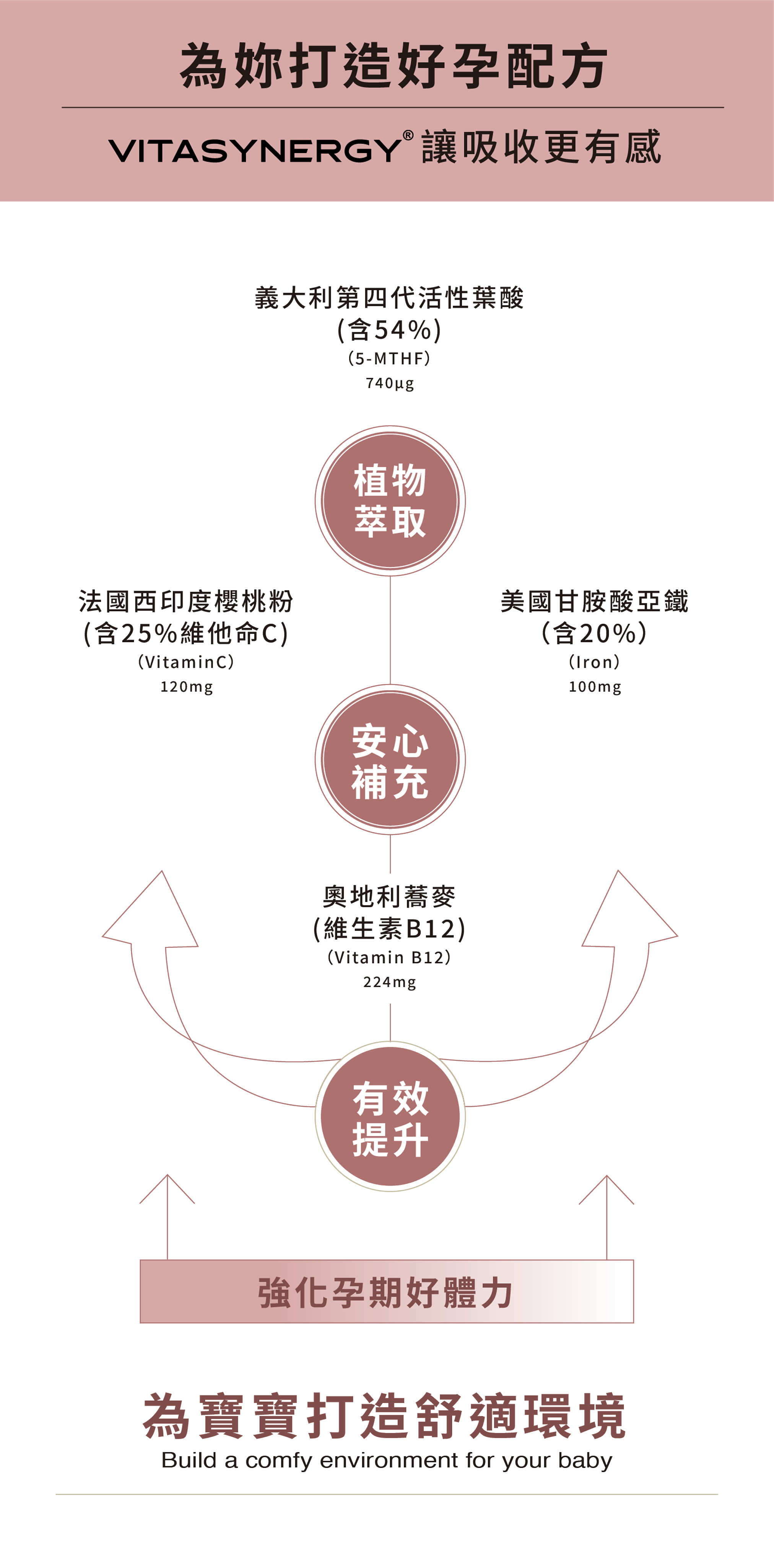 孕婦專科 葉酸鐵