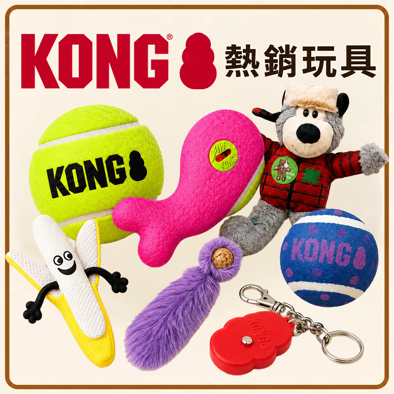 KONG 熱銷玩具