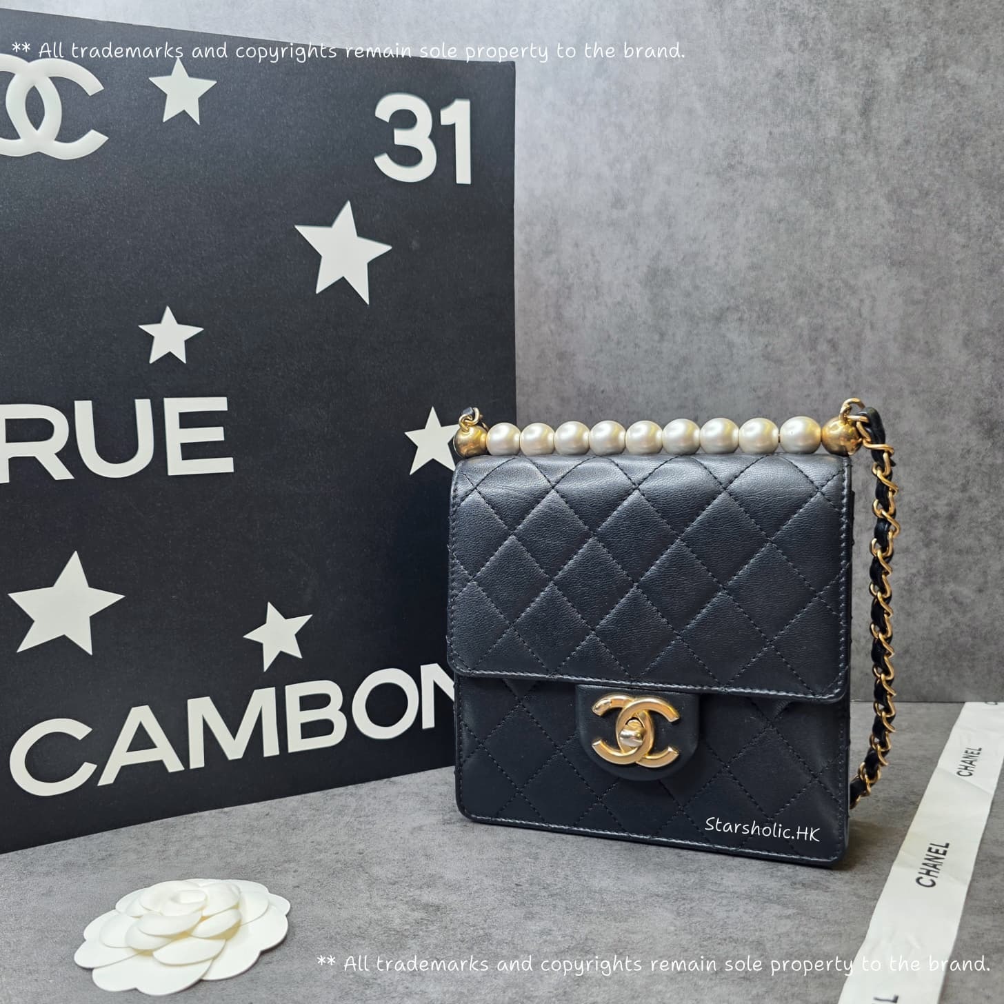 CHANEL Seasonal 16.5cm Flap