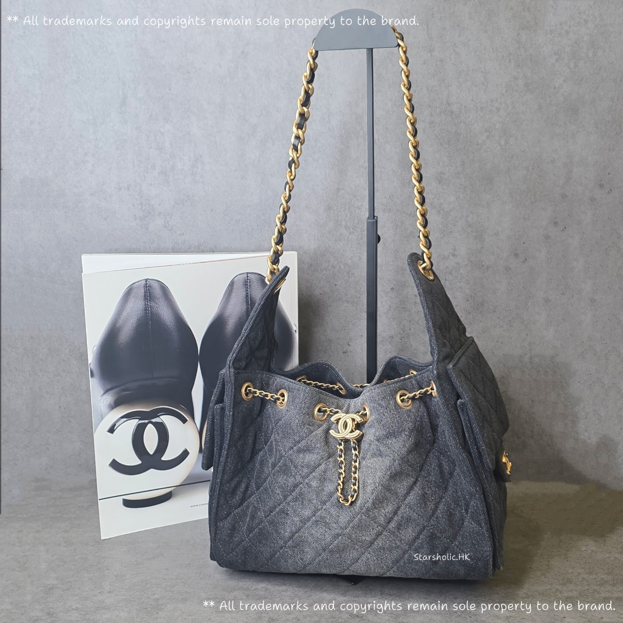 CHANEL  25 Bag Small Size