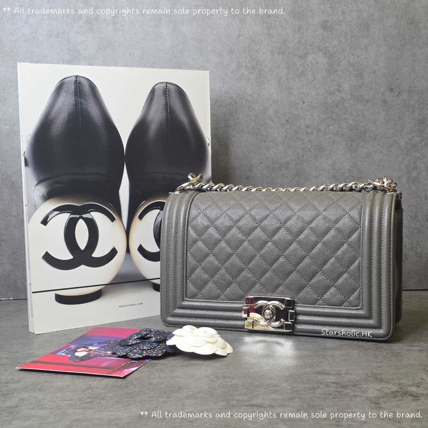 CHANEL Leboy 25cm Medium Size