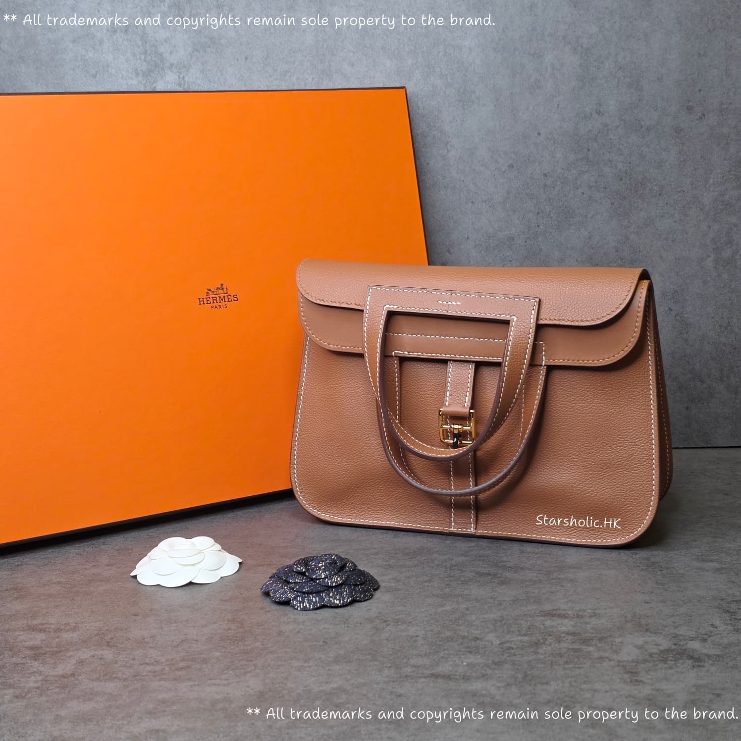 HERMES Halzan 25