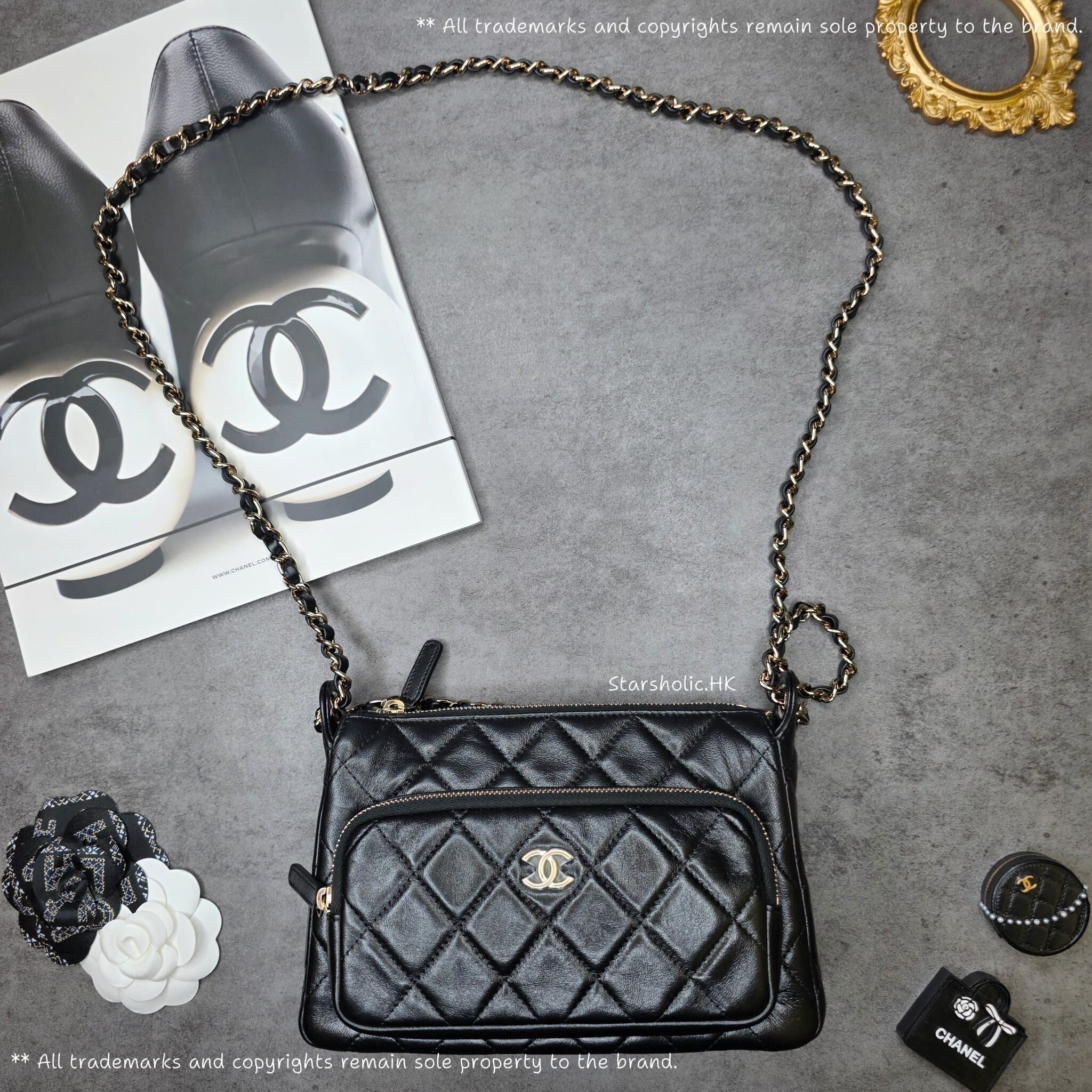 CHANEL Seasonal Camera Bag