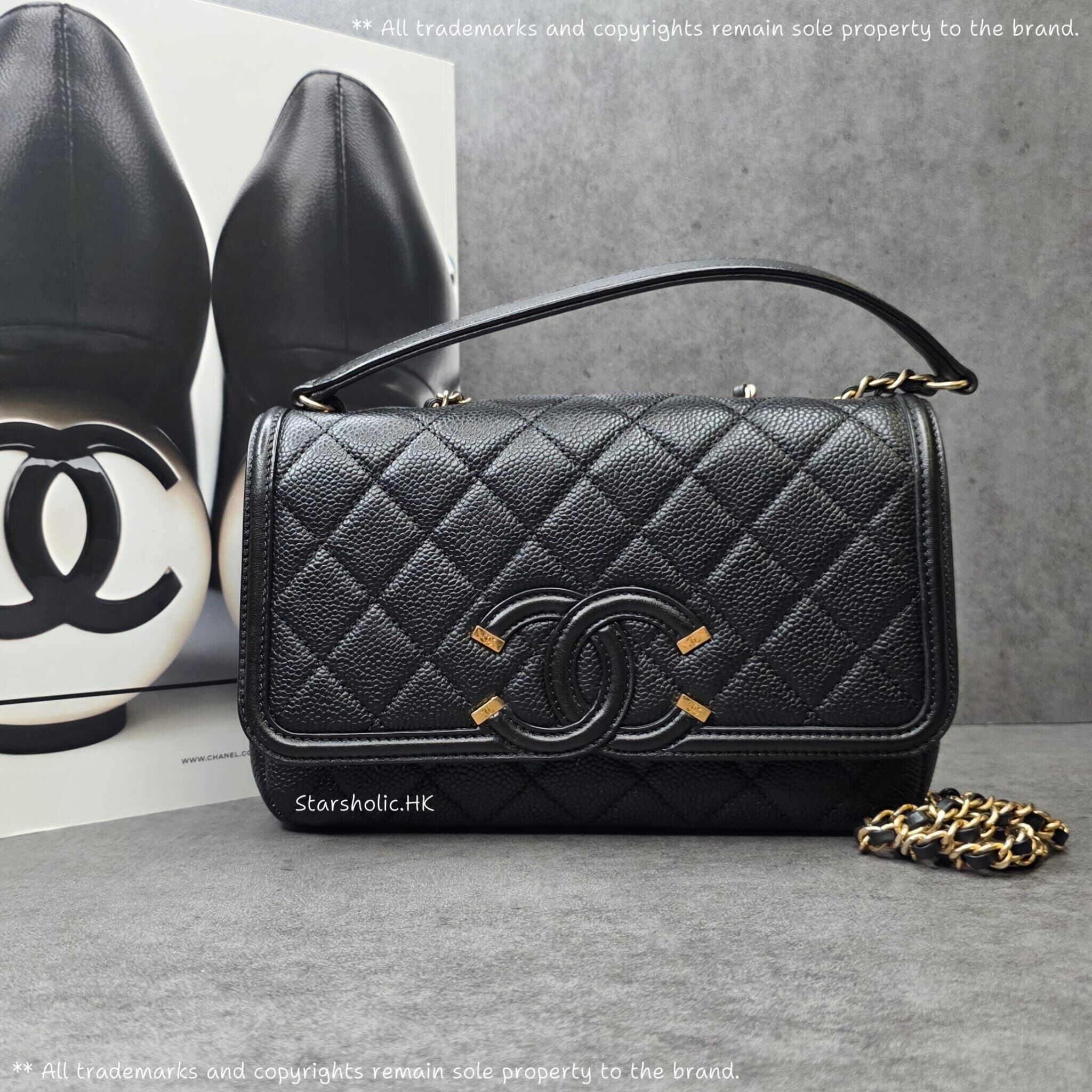 CHANEL Seasonal 22cm Flap Bag