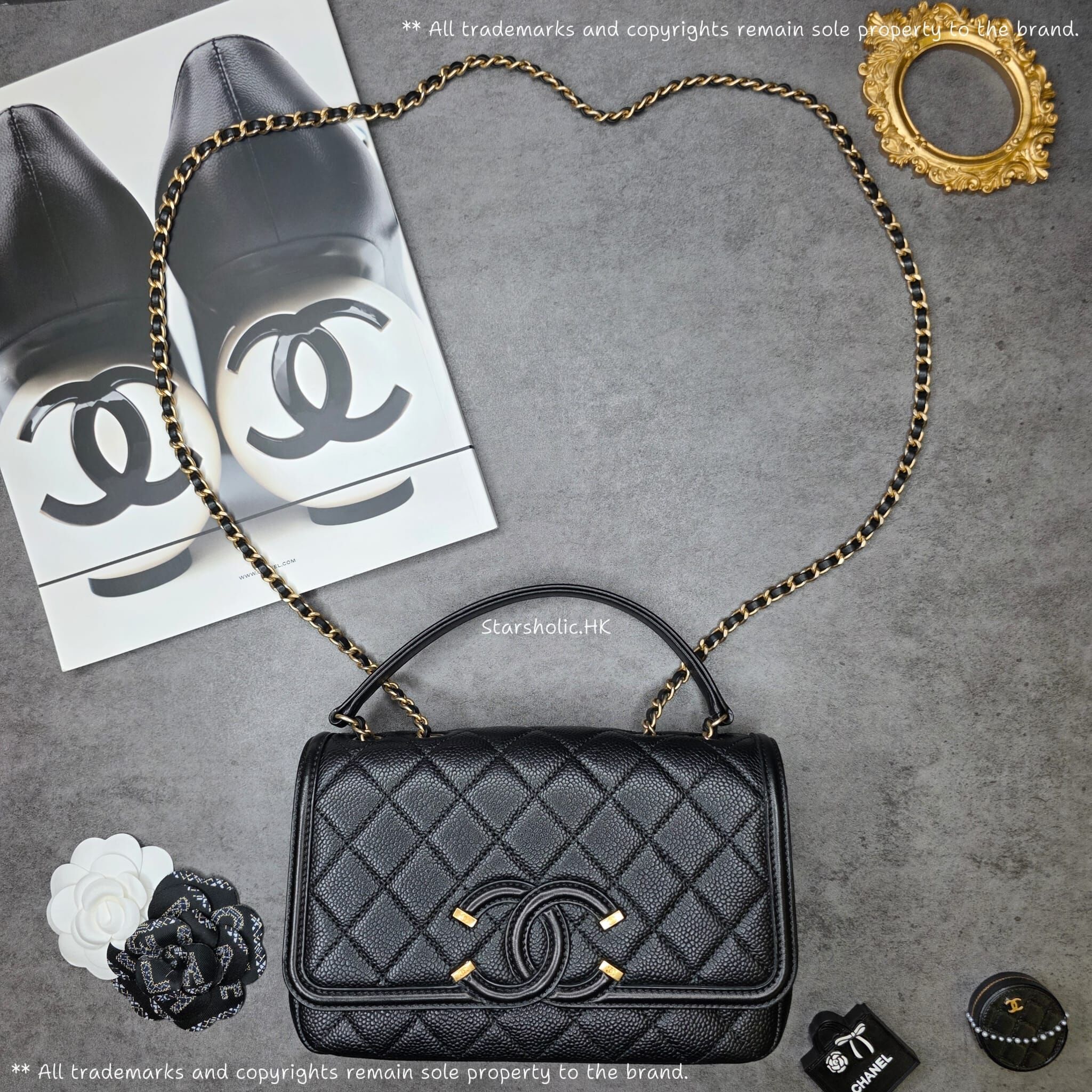 CHANEL Seasonal 22cm Flap Bag