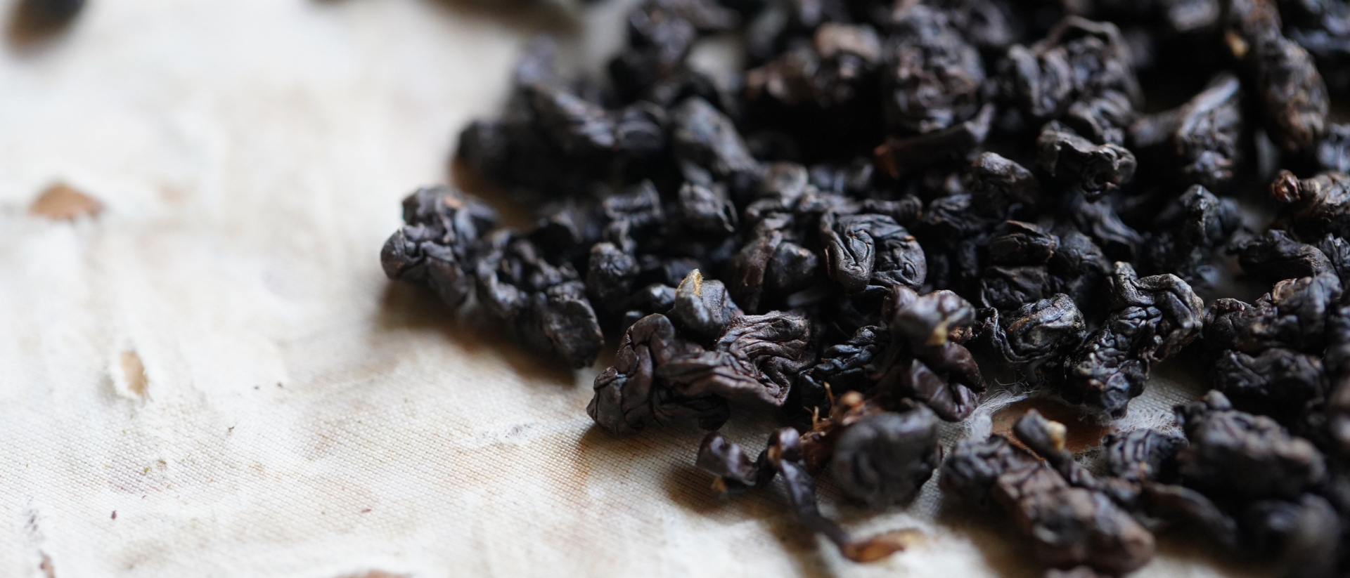 鹿野紅烏龍茶,茶職人藍大誠親手烘焙