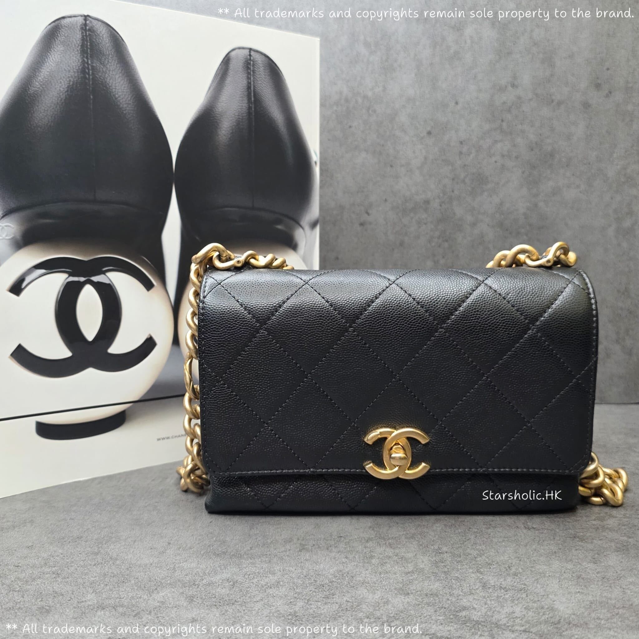 CHANEL Seasonal 20cm Flap