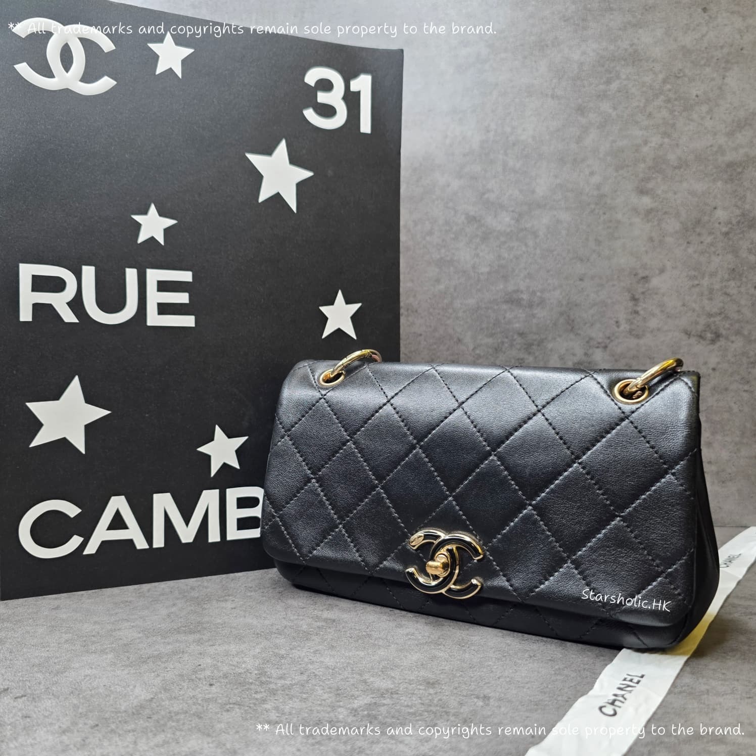 CHANEL Seasonal 22cm Flap