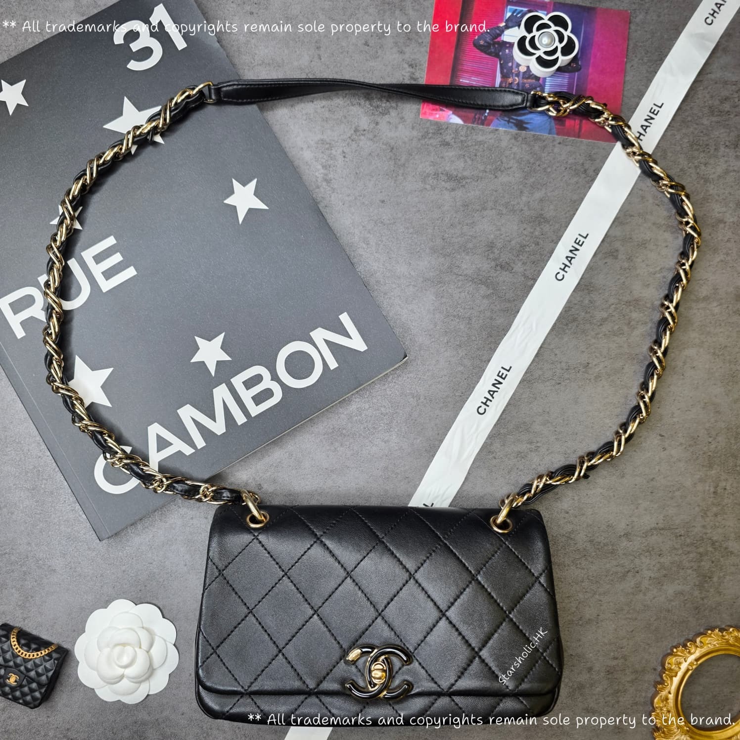 CHANEL Seasonal 22cm Flap
