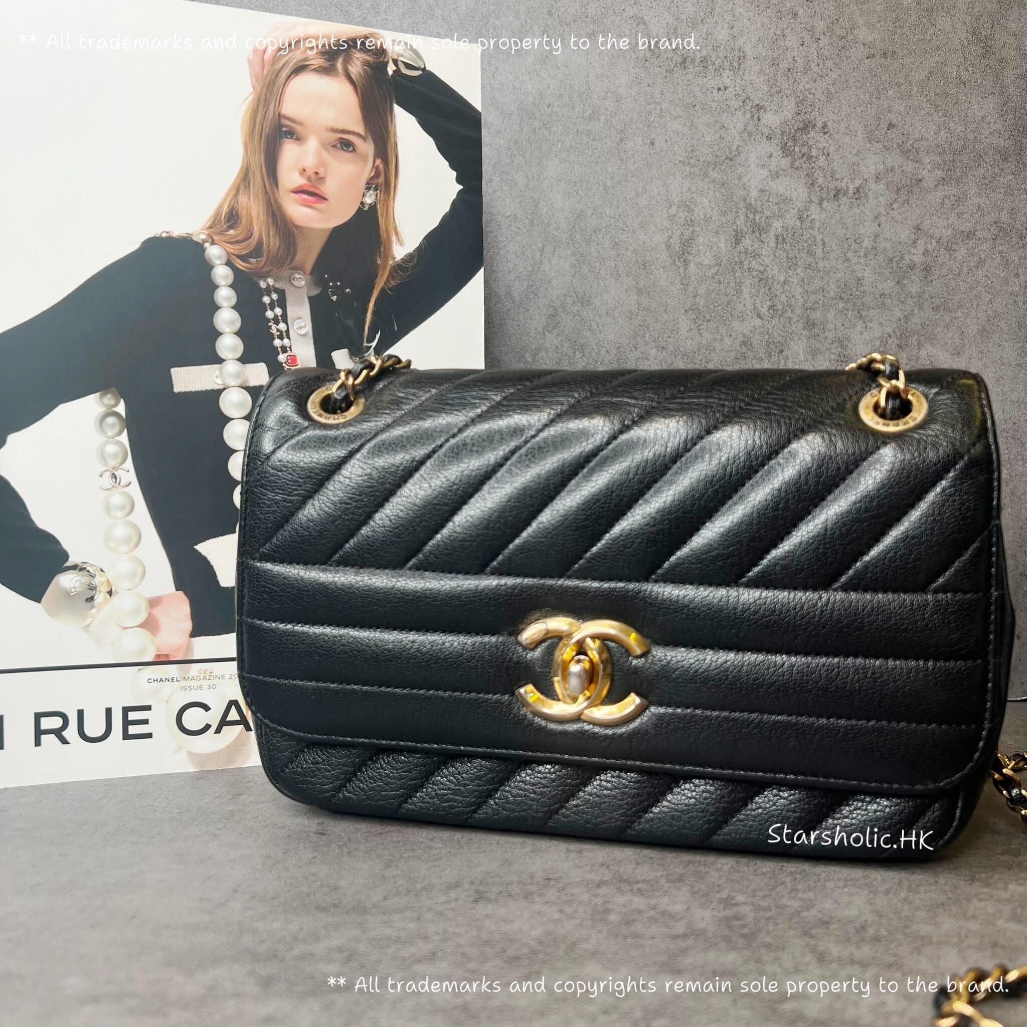 CHANEL Seasonal 22cm Flap