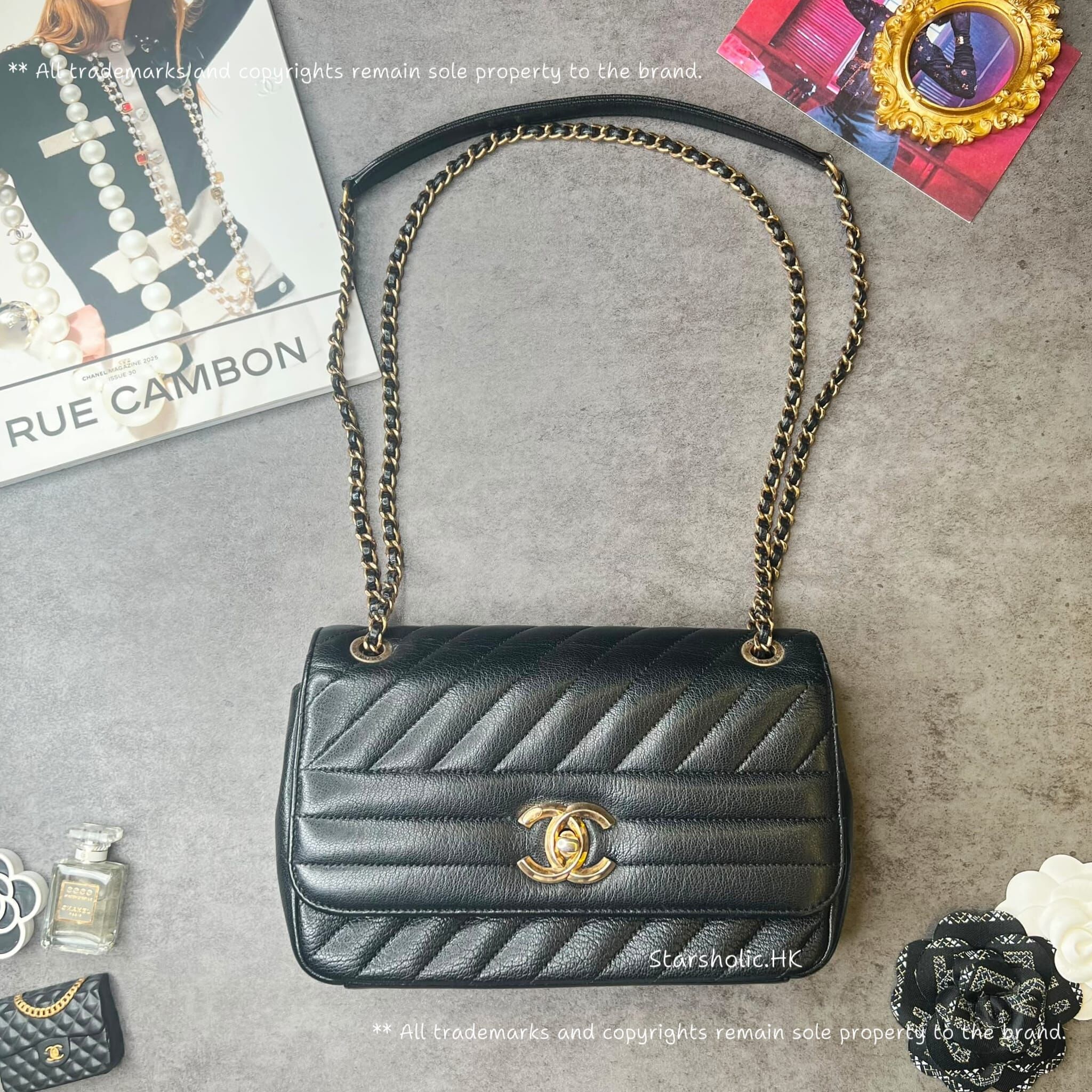 CHANEL Seasonal 22cm Flap