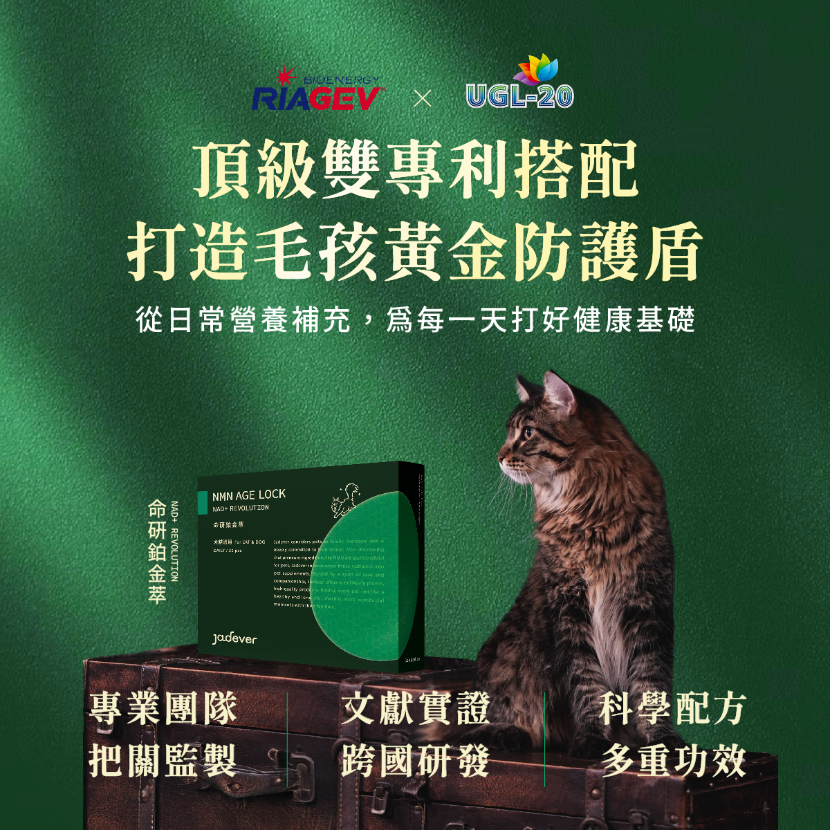 【Jadever】NMN 命研鉑金萃6入組（30顆/盒）