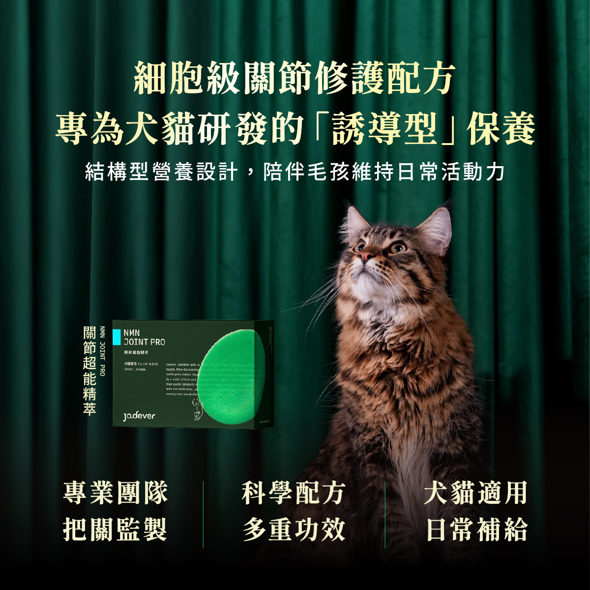 【Jadever】靈活亮毛雙效組｜NMN關節超能精萃 x 如碧紅寶磷蝦精萃