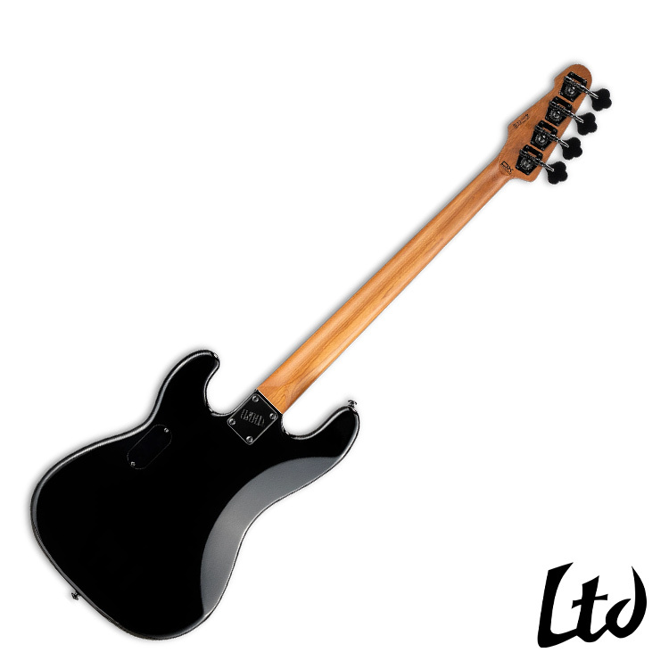 ESP LTD Surveyor-204DX Black Burst