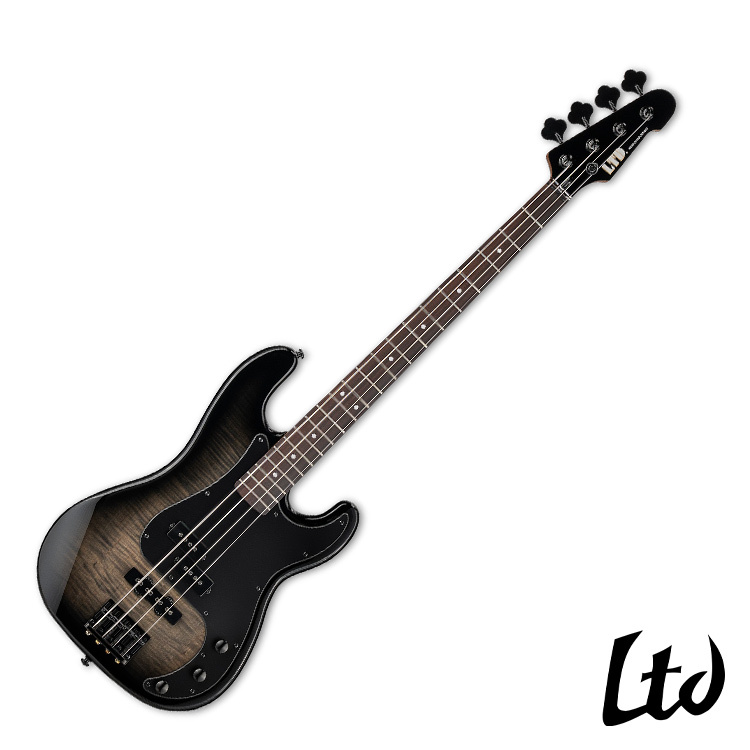 ESP LTD Surveyor-204DX Black Burst