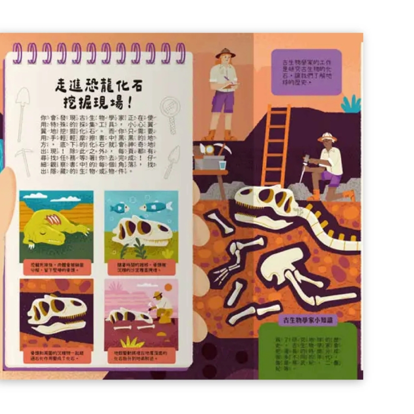 【樂森藥局】禾流文創 摩擦摩擦！出現了! 古代巨獸的化石！