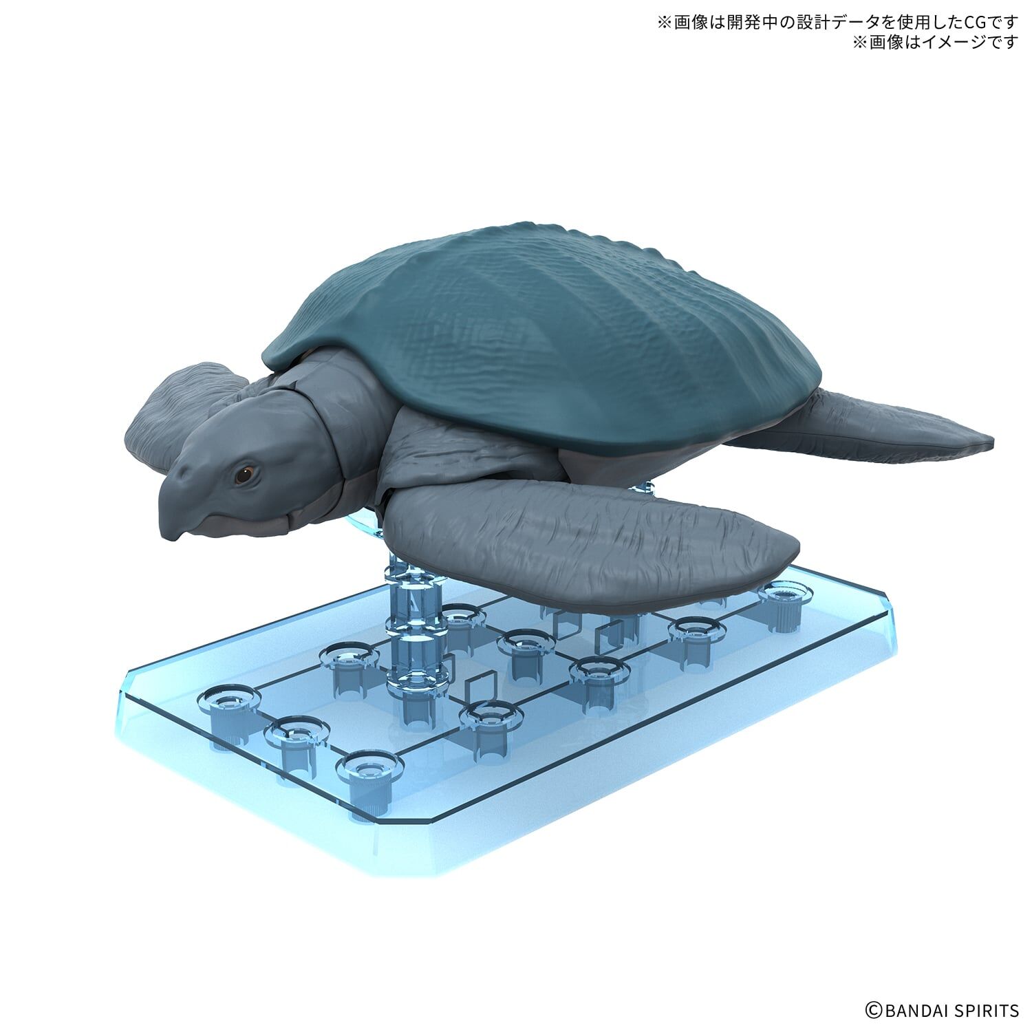 新恐龍模型系列 恐龜
