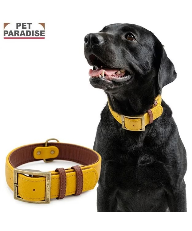 [Pet Paradise] Collar
