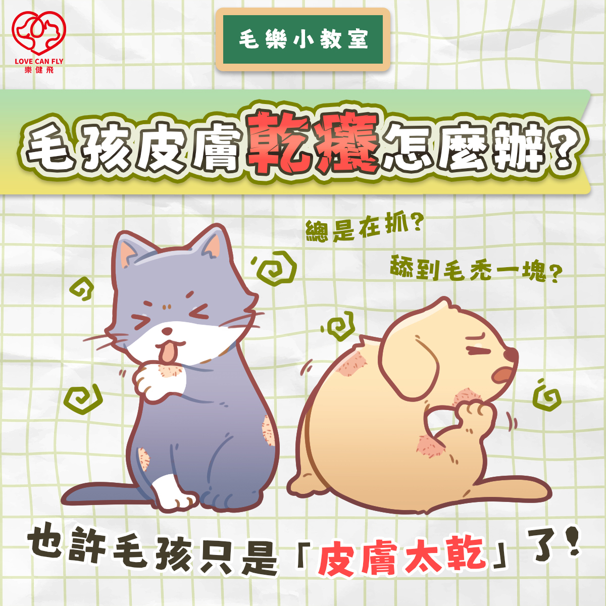 毛孩皮膚乾癢日常照護,保濕與營養維持皮膚健康
