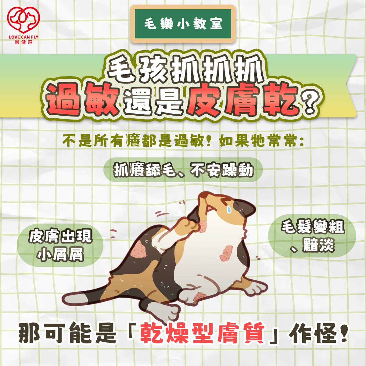 狗狗貓咪皮膚乾燥乾癢,頻繁抓癢與舔毛的常見表現