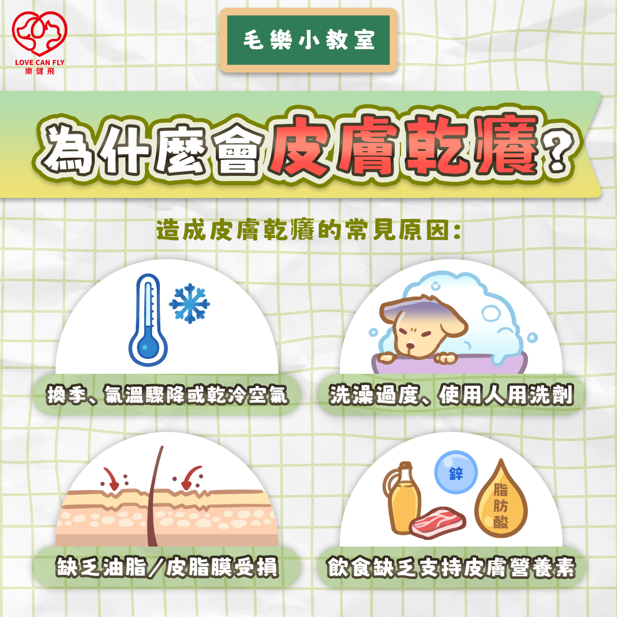 毛孩皮膚乾癢與過敏的差異,抓癢脫屑與毛髮變粗等症狀