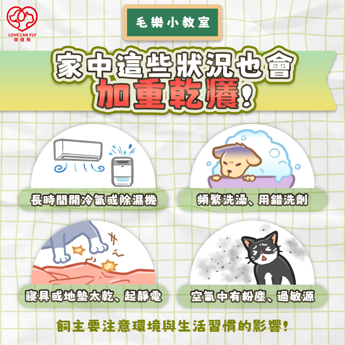 毛孩皮膚乾癢常見原因,包括乾燥空氣、洗澡過度、皮膚屏障與營養